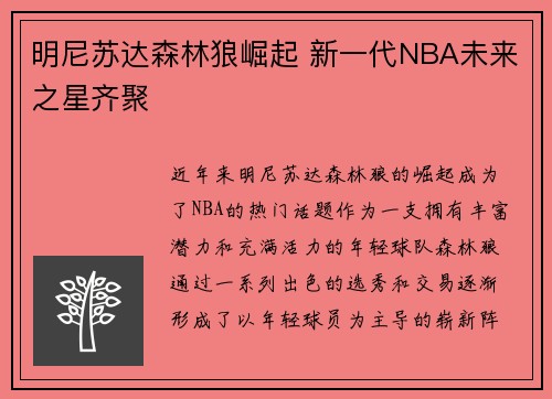 明尼苏达森林狼崛起 新一代NBA未来之星齐聚