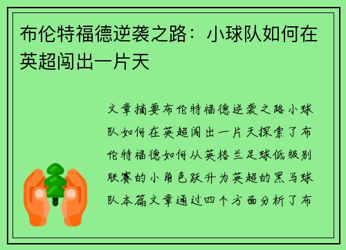 布伦特福德逆袭之路：小球队如何在英超闯出一片天